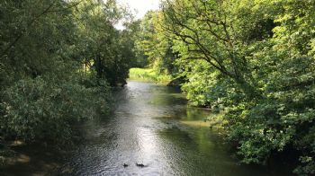 Inner Path